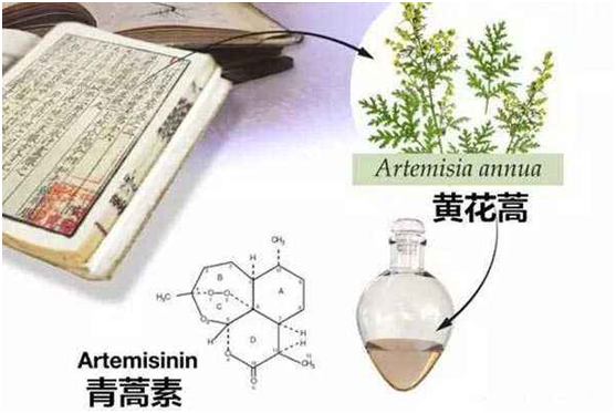 乐动官方网站：向中医药看齐，与世界共享中医药文化(图1)